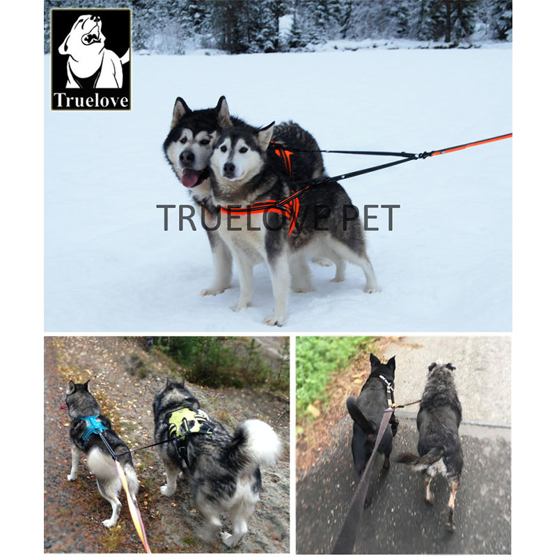 Truelove Nylon Double Dog Leas - Running Gear Dog 评论和价格