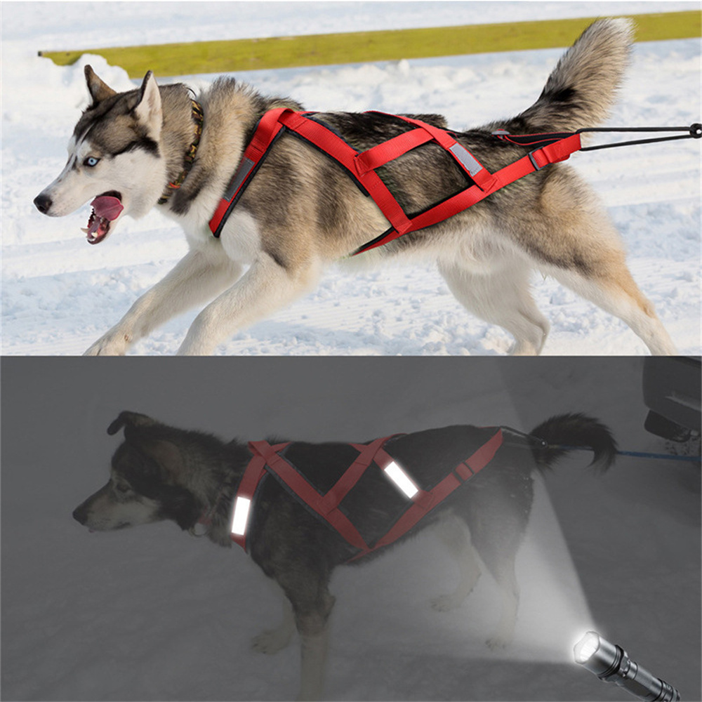 High Quality Big Dog Sledge Ha - Running Gear Dog 评论和价格