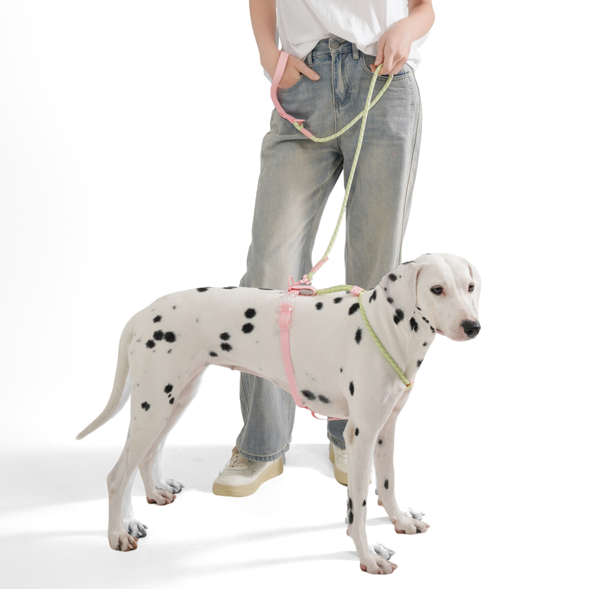 Small And Medium Dogs Harness  - Running Gear Dog 评论和价格