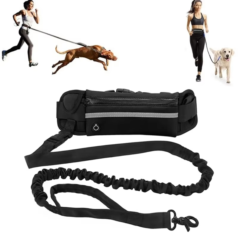 HOMEFISH Hands-Free Dog Leash  - Running Gear Dog 评论和价格
