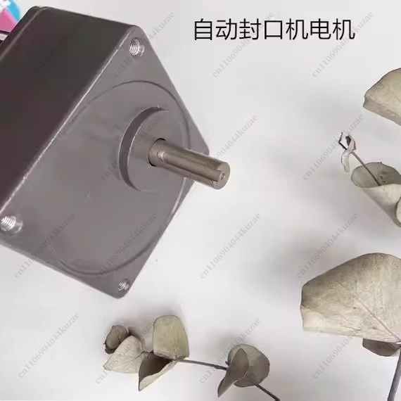 Single-phase Capacitor-run Asy - Running Gear Motor 评论和价格