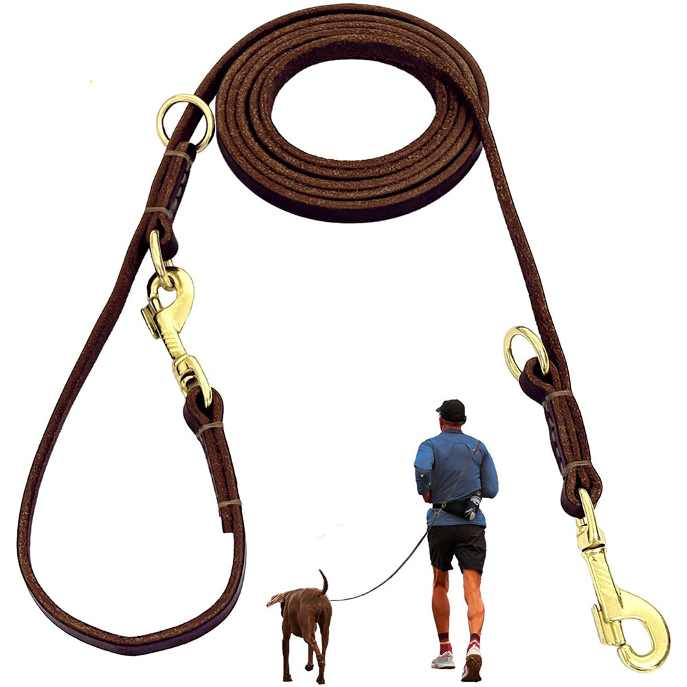 Multi Function Leather Dog Lea - Running Gear Dog 评论和价格