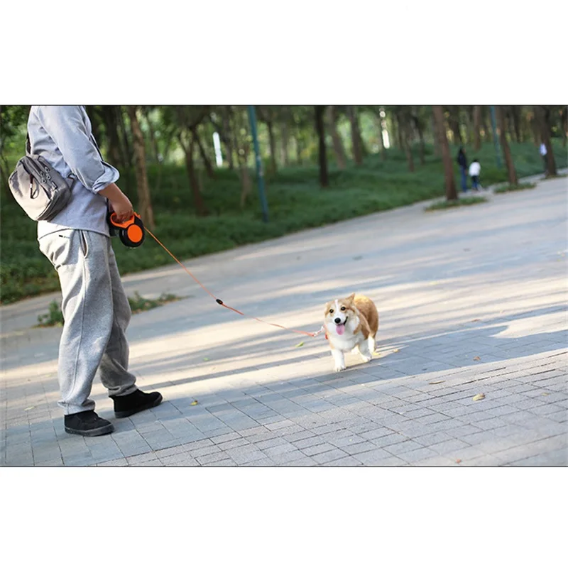 3M/5M/8MRetractable Dog Leash  - Running Gear Dog 评论和价格