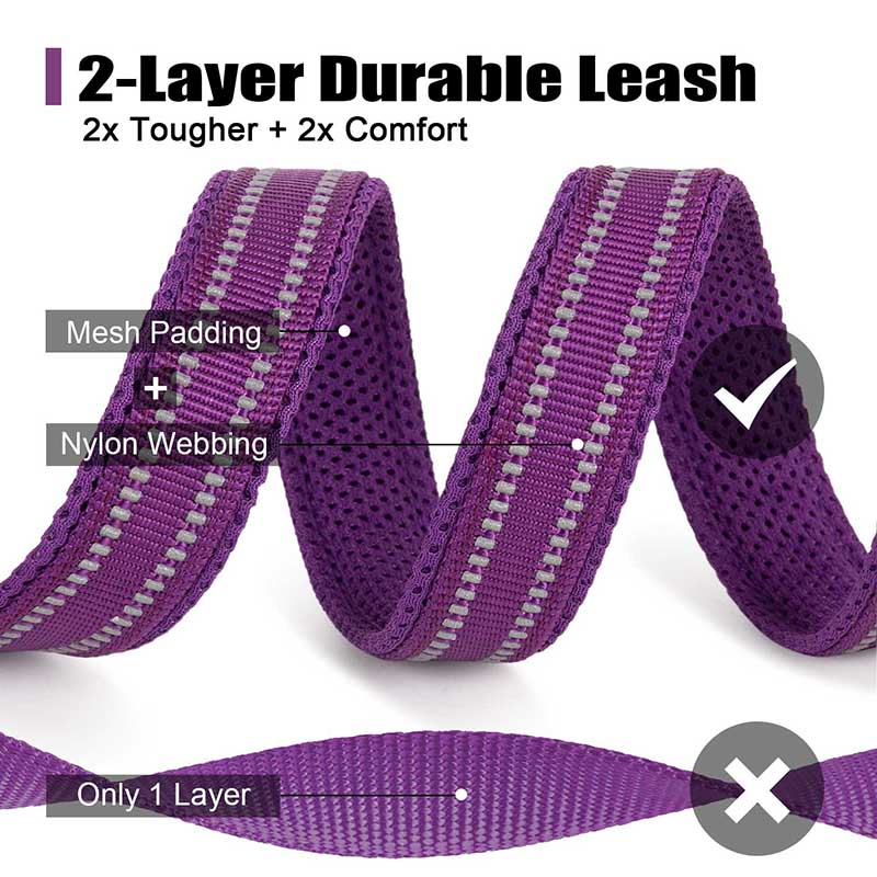 Truelove 200Cm Nylon Dog Lead  - Running Gear Dog 评论和价格