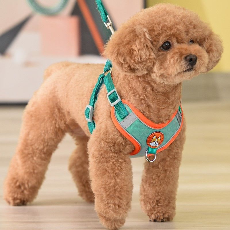 Adjustable No Pull Pet Reflect - Running Gear Dog 评论和价格