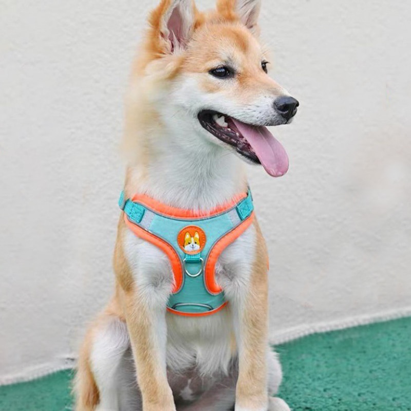 Adjustable No Pull Pet Reflect - Running Gear Dog 评论和价格